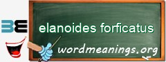 WordMeaning blackboard for elanoides forficatus